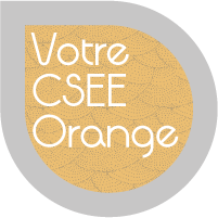 Logo csee orange